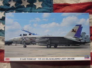 HSG00811  F-14D TOMCAT 'Blacklions last cruise'